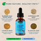 Animal Essentials Colon Rescue | Soothing Digestive Support