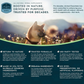 Colon Rescue | Organic Digestive + Gut-Soothing Support
