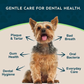 Animal Essentials SeaDent | Plaque + Tartar Control