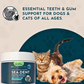 Animal Essentials SeaDent | Plaque + Tartar Control