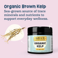 Organic Kelp | Natural Iodine, Thyroid & Coat Support