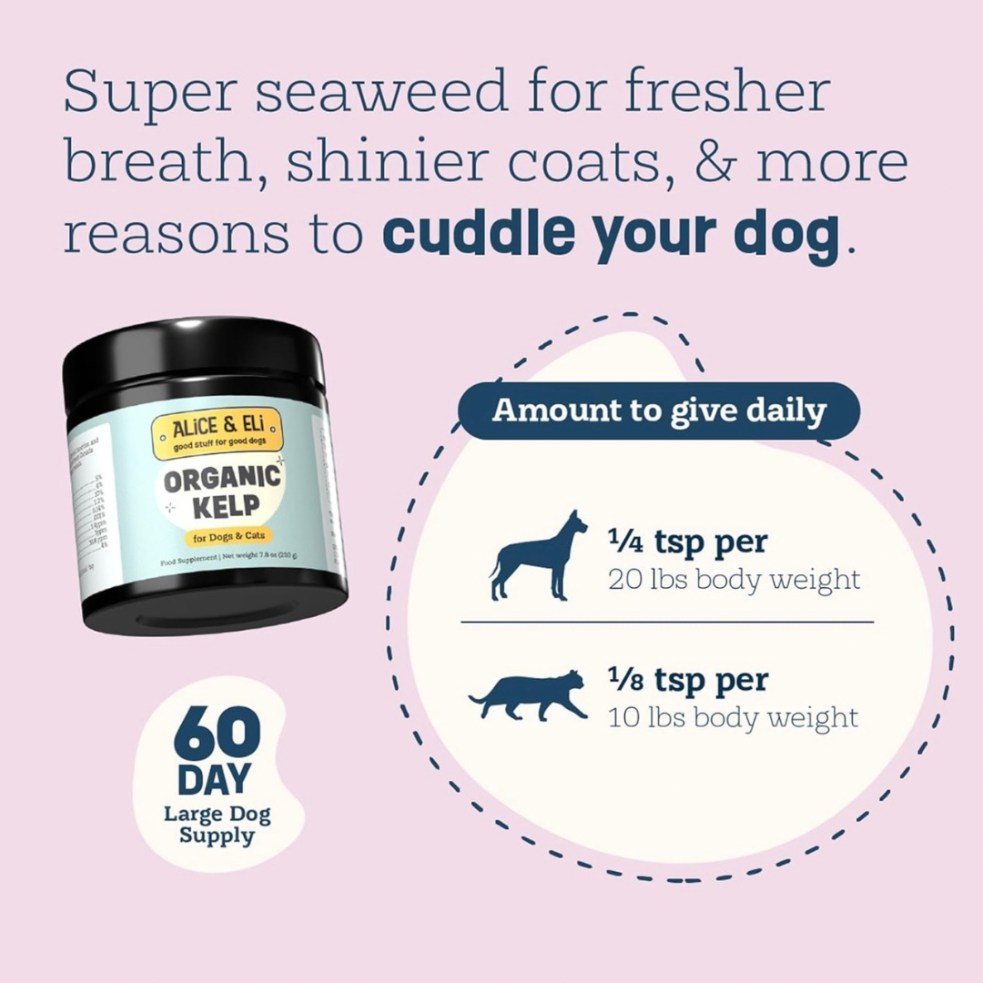 Alice & Eli Organic Kelp | Natural Iodine + Mineral Support
