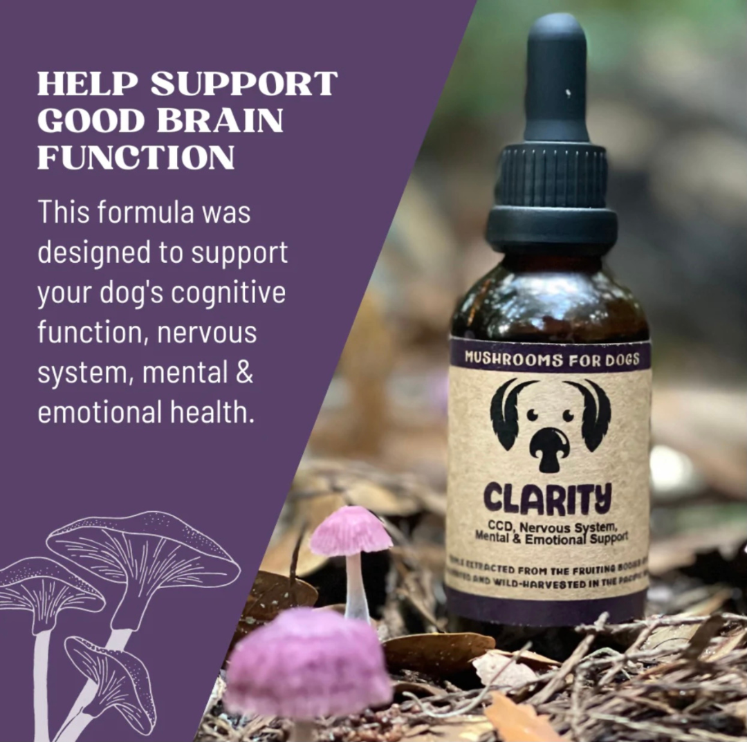 MycoDog Clarity CCD, Mental & Emotional Support Mushroom Supplement for Dogs