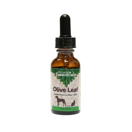 Animal Essentials Olive Leaf | Immune Support + Antimicrobial Defense