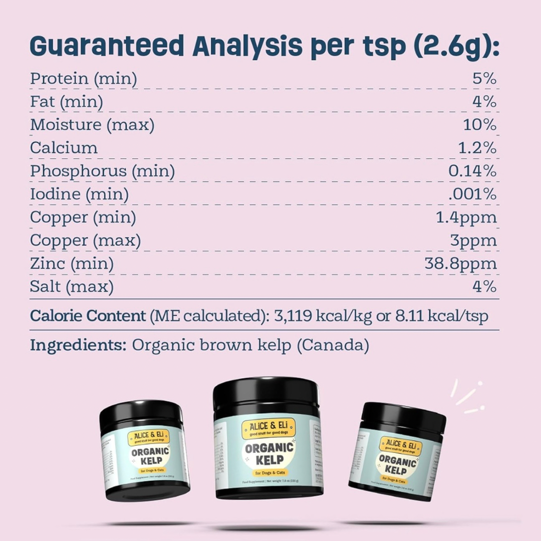 Alice & Eli Organic Kelp | Natural Iodine + Mineral Support