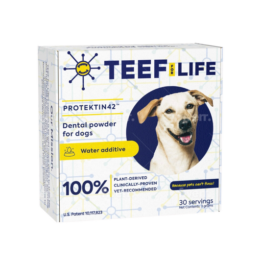 TEEF for Life Protektin42 | Dental Powder Water Additive