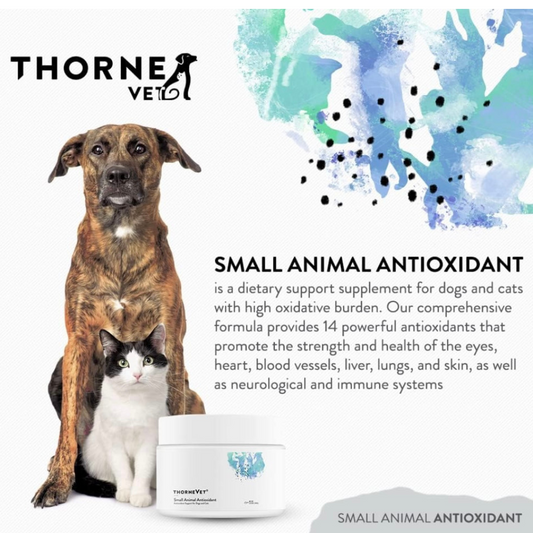 ThorneVet Antioxidant Support