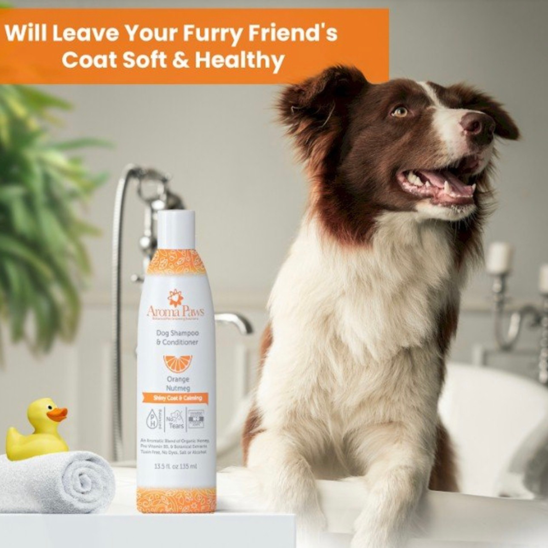 Aroma Paws Orange Nutmeg Shampoo | Shiny Coat + Calming