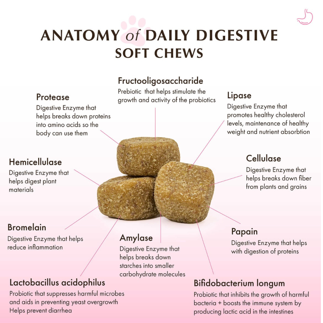 Wholistic Pet Organics Daily Digestive Soft Chews