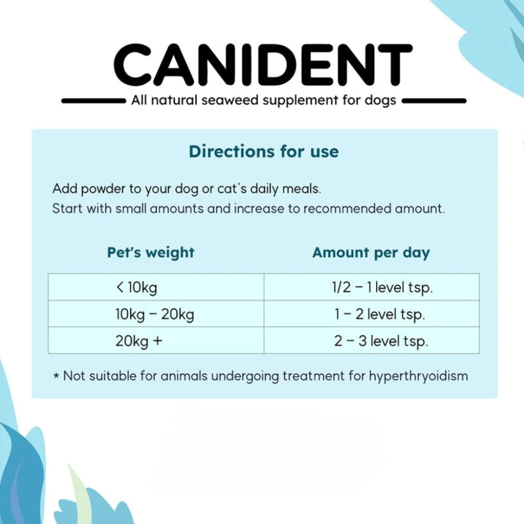 Pure Vet Canident | Dental Support