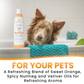 Aroma Paws Orange Nutmeg Shampoo | Shiny Coat + Calming