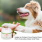 Aroma Paws Paw Conditioning Treatment