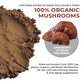 Real Mushrooms Organic Reishi Mushroom