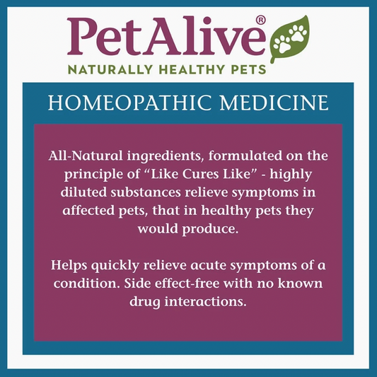 Pet Alive Muscle & Joint Support | Homeopathic Arthritis Support