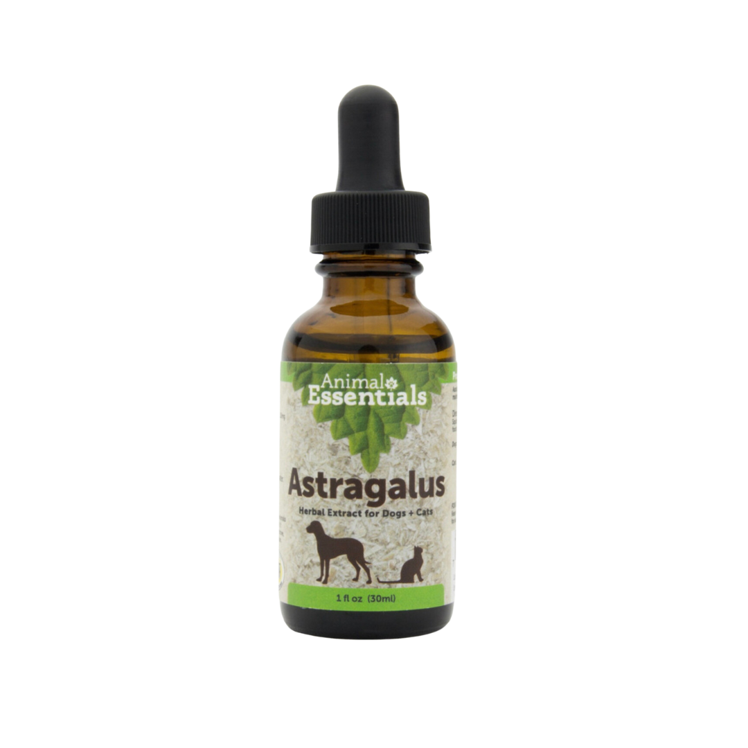 Animal Essentials Astragalus