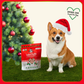 Lord Jameson Organic Love Puffs | Candy Cane Kisses