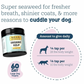 Organic Kelp | Natural Iodine, Thyroid & Coat Support