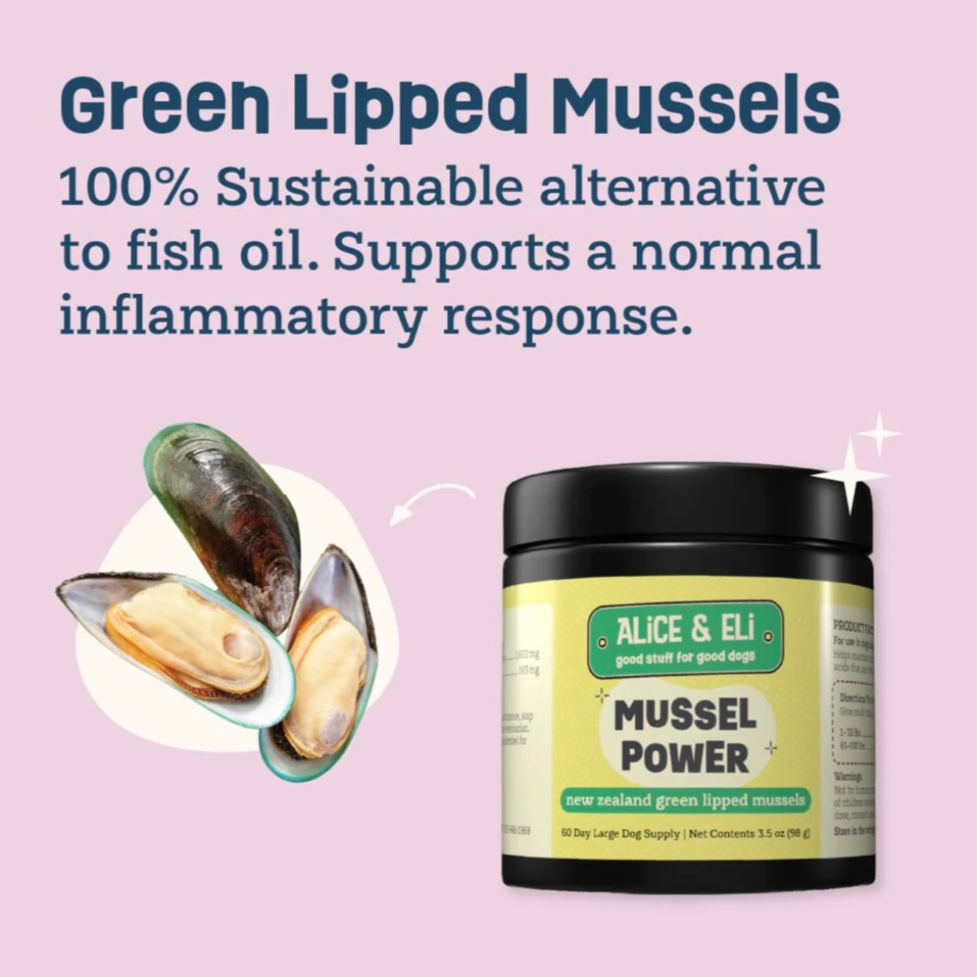 Alice & Eli Mussel Power | Green Lipped Mussel Powder