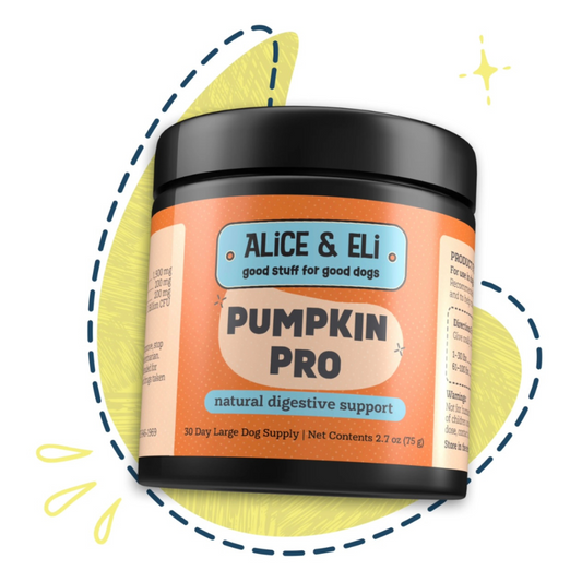 Alice & Eli Pumpkin Pro | Digestive Support