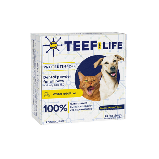 TEEF for Life Protektin42 | Dental Powder Water Additive + Kidney care