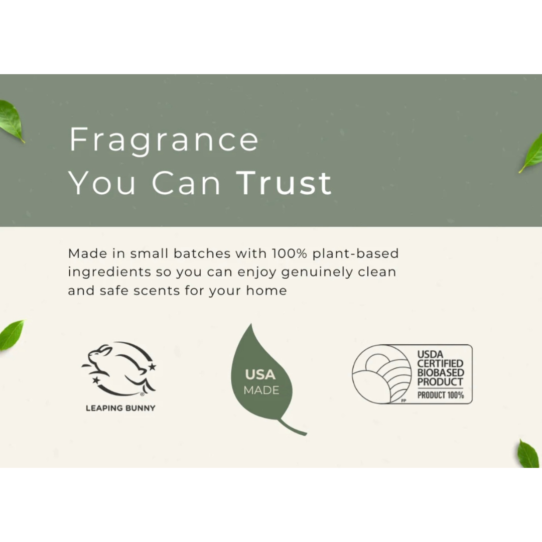 Grow Car Fresheners | Hibiscus Tea