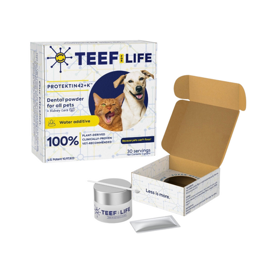 TEEF for Life Protektin42 | Dental Powder Water Additive + Kidney care