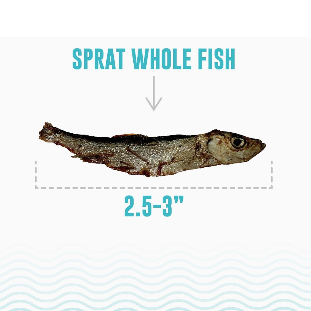 Icelandic+ Sprat Whole Fish Treats