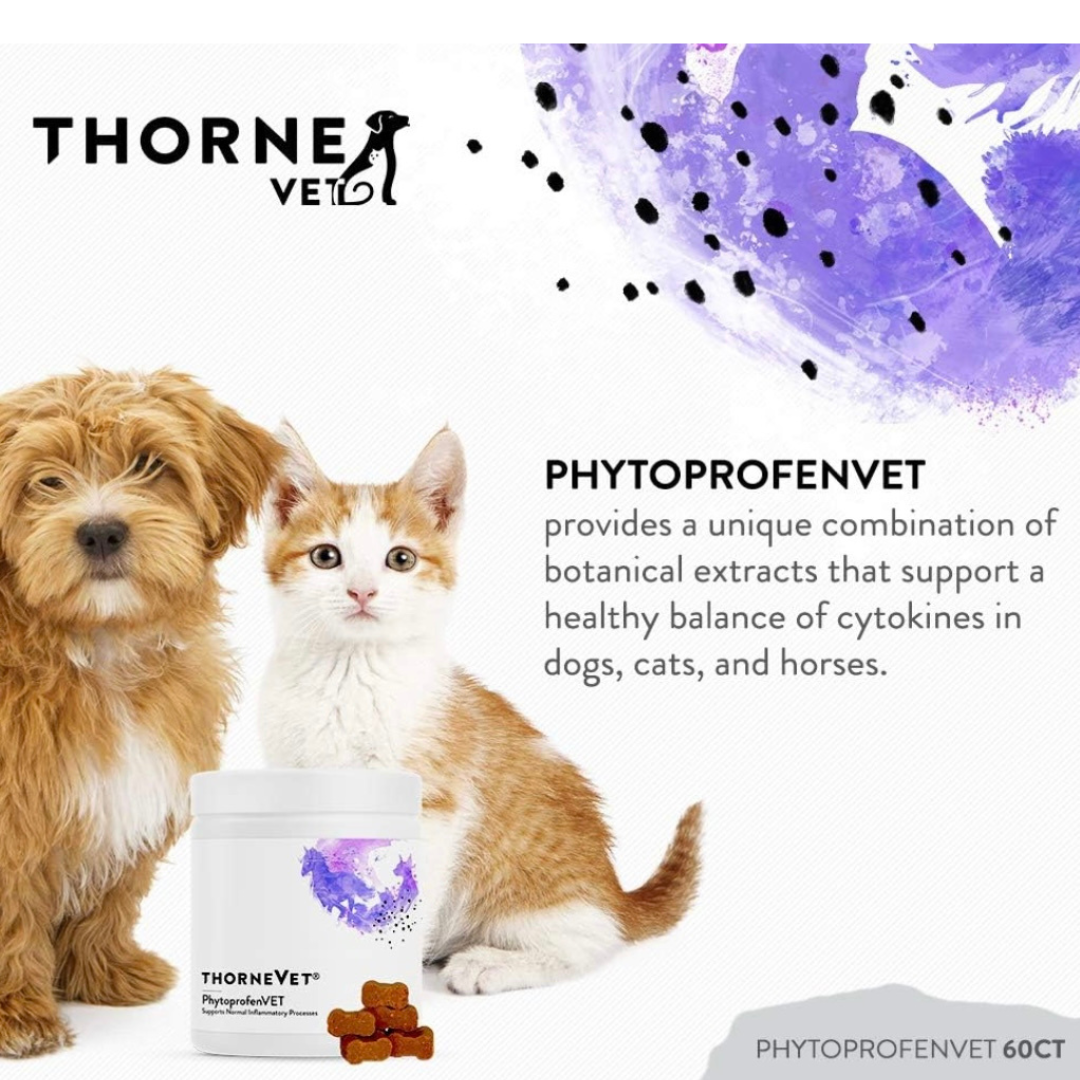 ThorneVet Phytoprofen | Anti-inflammatory Chews