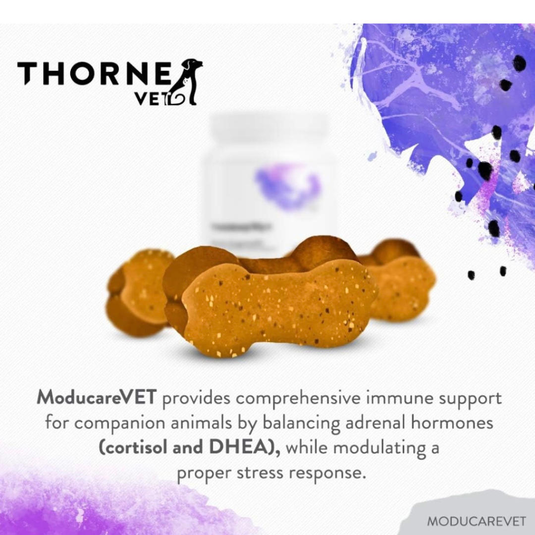 ThorneVet ModucareVET Chews | Immune Function