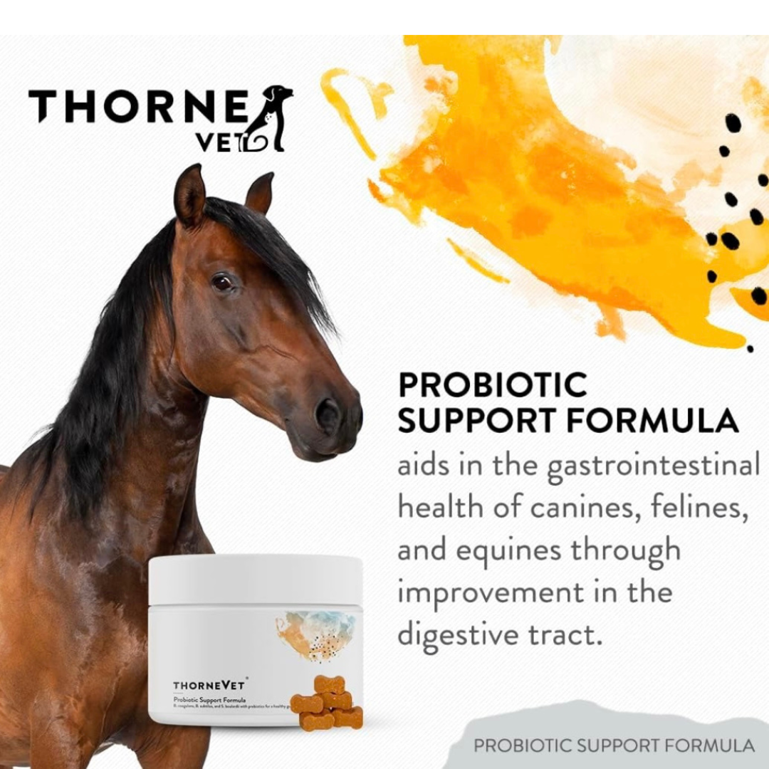 ThorneVet Probiotic Support Formula