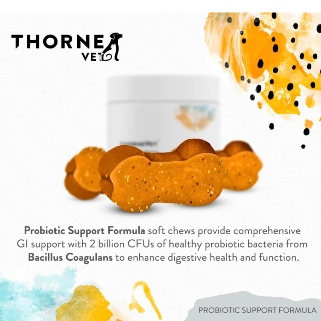 ThorneVet Probiotic Support Formula