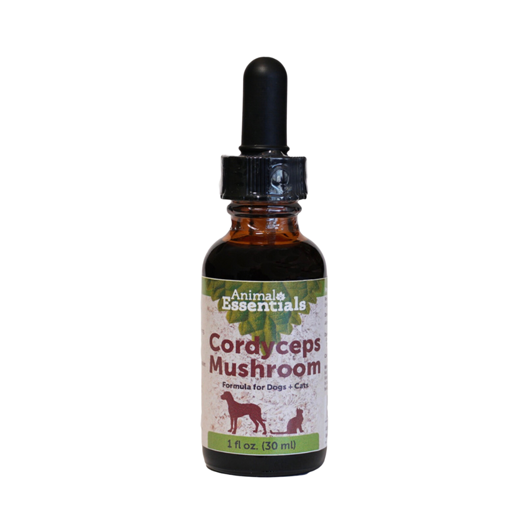 Animal Essentials Cordyceps Mushroom