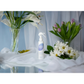 Grow Natural Air Freshener | Wildflower Rain
