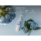 Grow Natural Air Freshener | Wildflower Rain