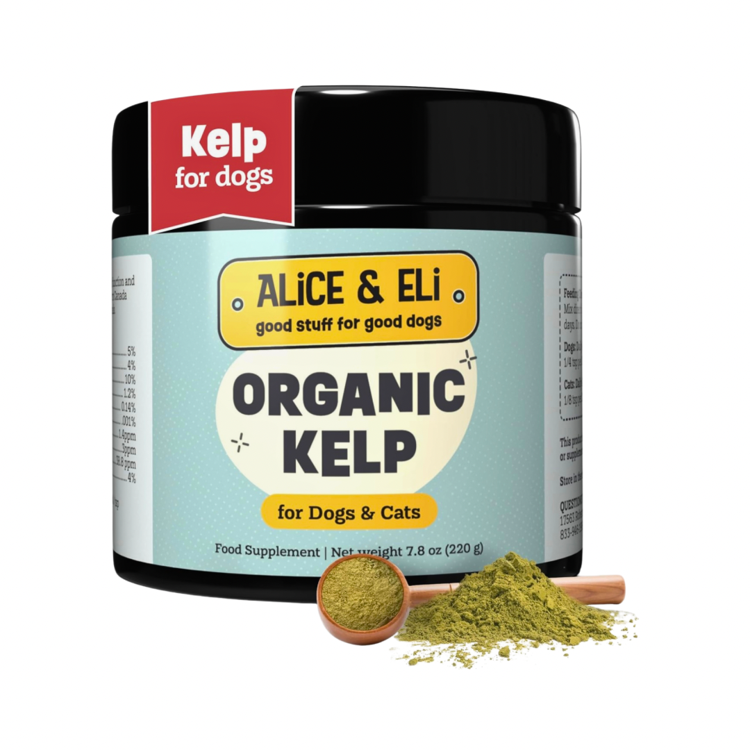 Alice & Eli Organic Kelp | Natural Iodine + Mineral Support