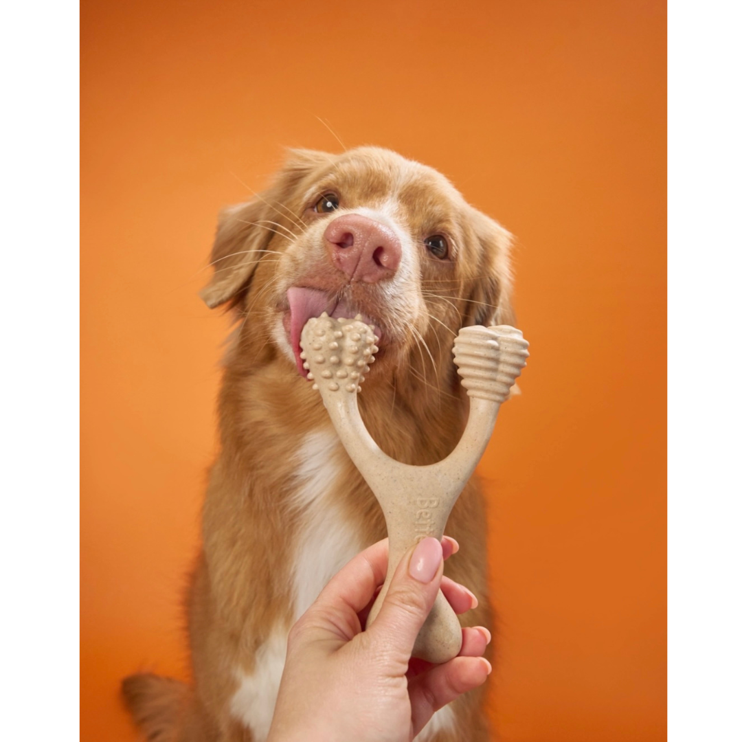 BetterBone All-Natural Dog Chews | Soft