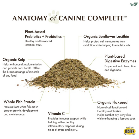 Wholistic Pet Organics Canine Complete + Organic Pumpkin | Comprehensive Multivitamin