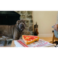 PLAY Puppy-roni Pizza