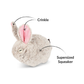 PLAY Baxter the Bunny