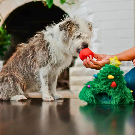 PLAY Merry Woofmas Doglas Fur