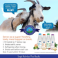 Shepherd Boy Farms Freeze-Dried Raw Goat's Milk | Golden Blend