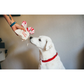 PLAY Cheerful Candy Canes