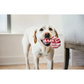 PLAY Cheerful Candy Canes