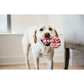 PLAY Cheerful Candy Canes