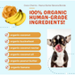 CocoTherapy Organic Coco-Charms | Peanut Butter Banana Blondie