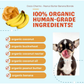 CocoTherapy Organic Coco-Charms | Peanut Butter Banana Blondie