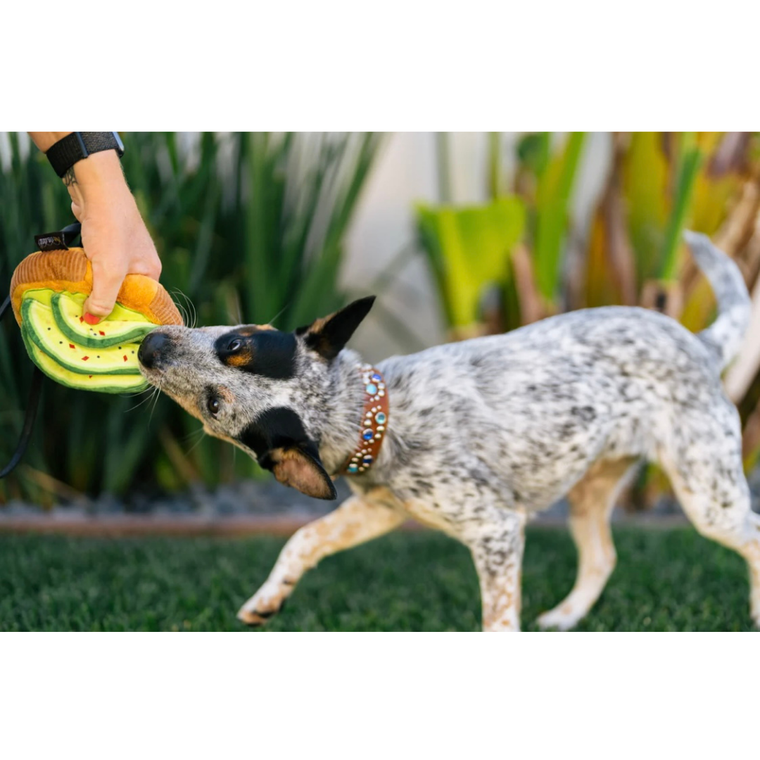 PLAY Avo-doggo Toast