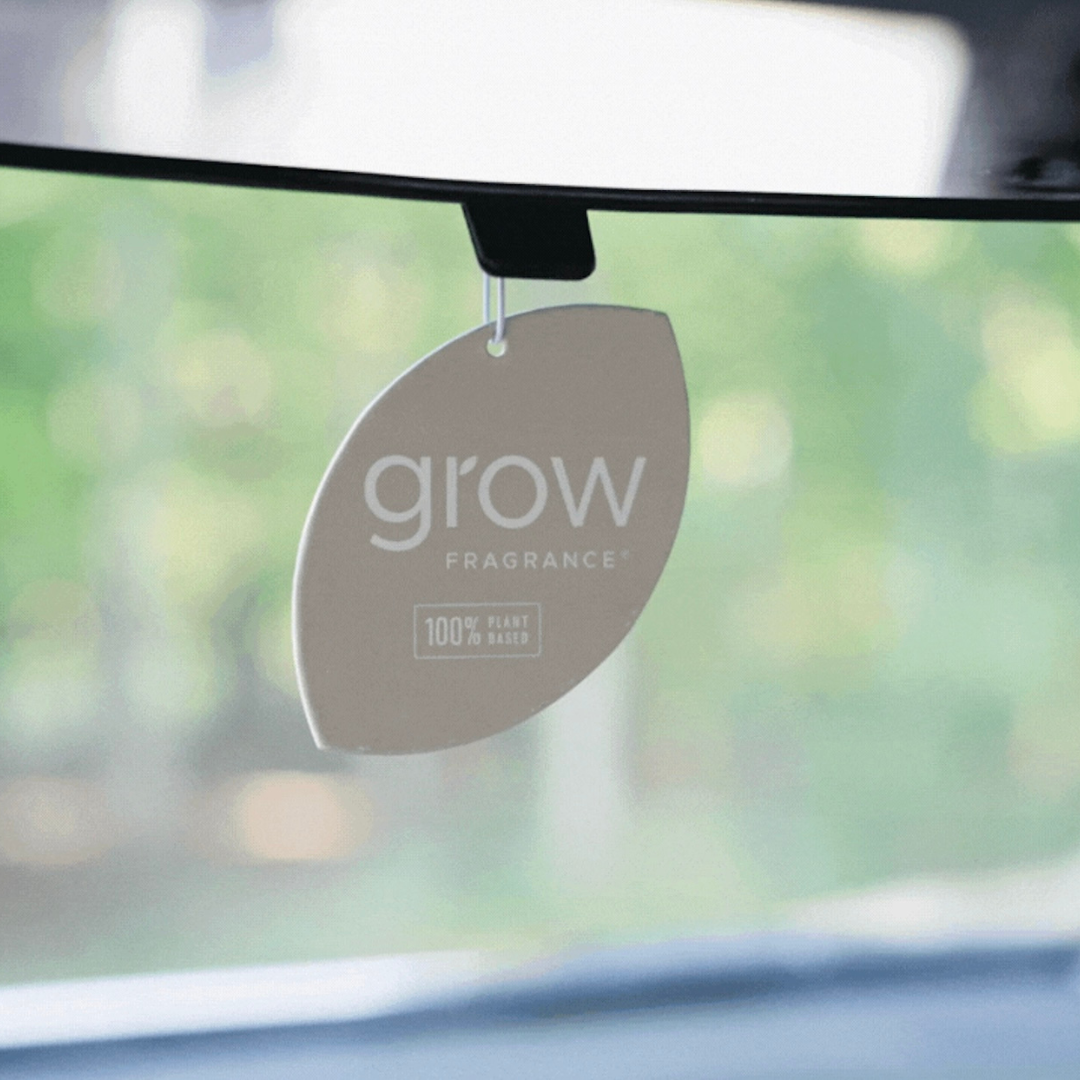 Grow Car Fresheners | Snowscape