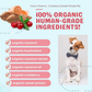 Organic Coco-Charms | Cranberry Sweet Potato Pie