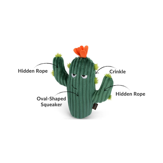 PLAY Prickly Pup Cactus